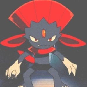 Meet your Posher, Markus